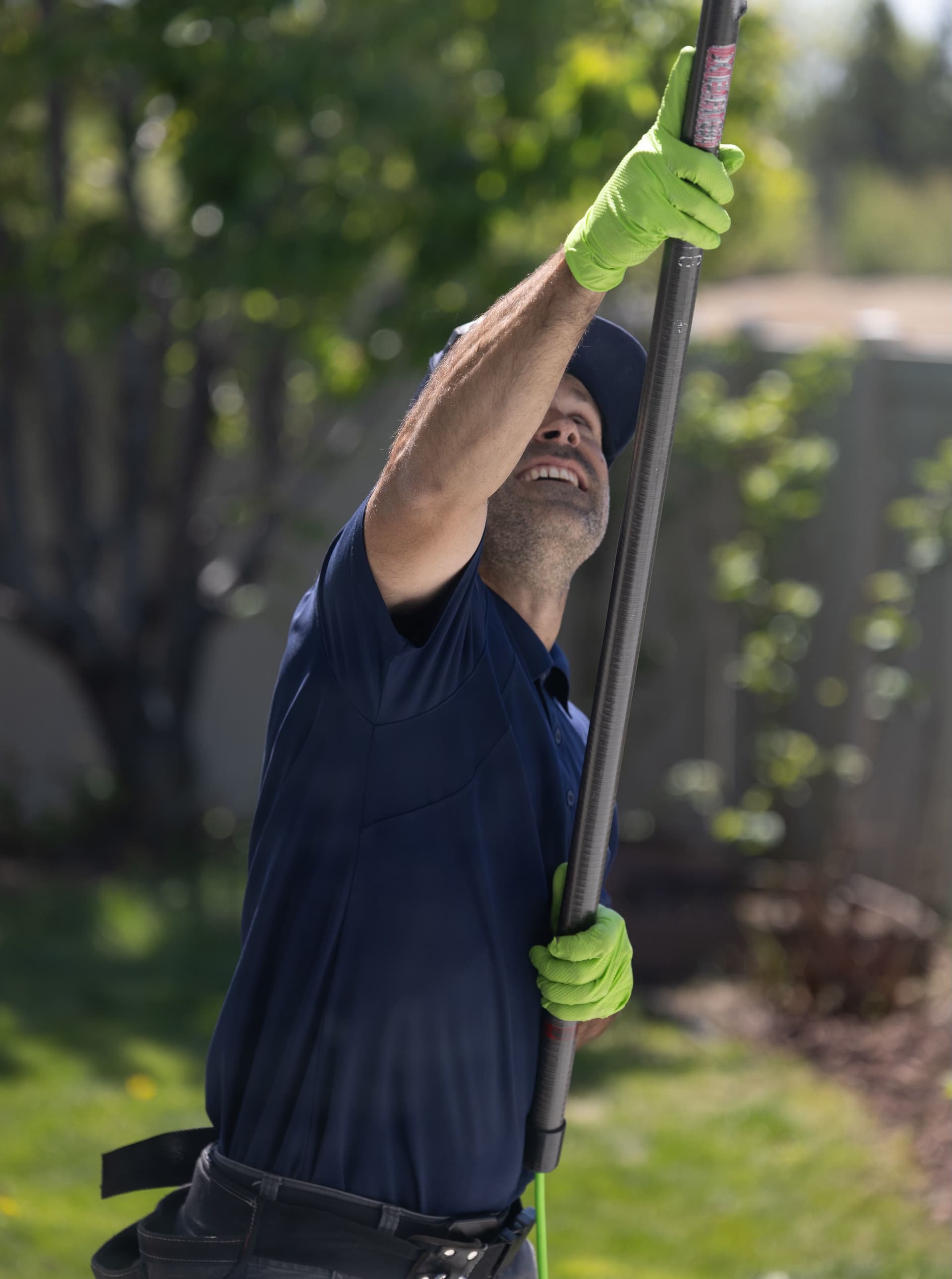 Gallery photos for Spot-Free Window Cleaning with Advanced Techniques: Image #2