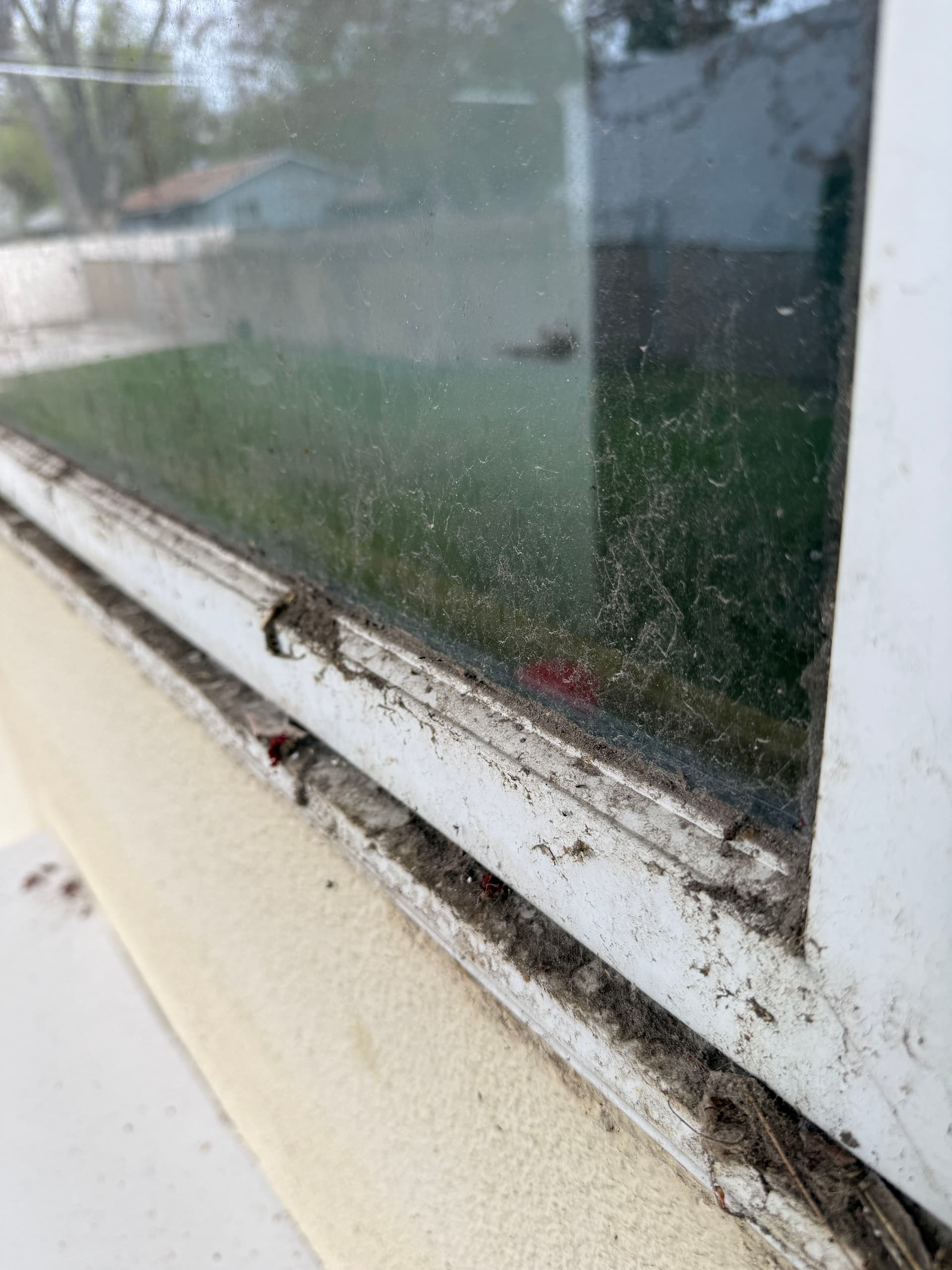 No Window Is Too Dirty for Our Team