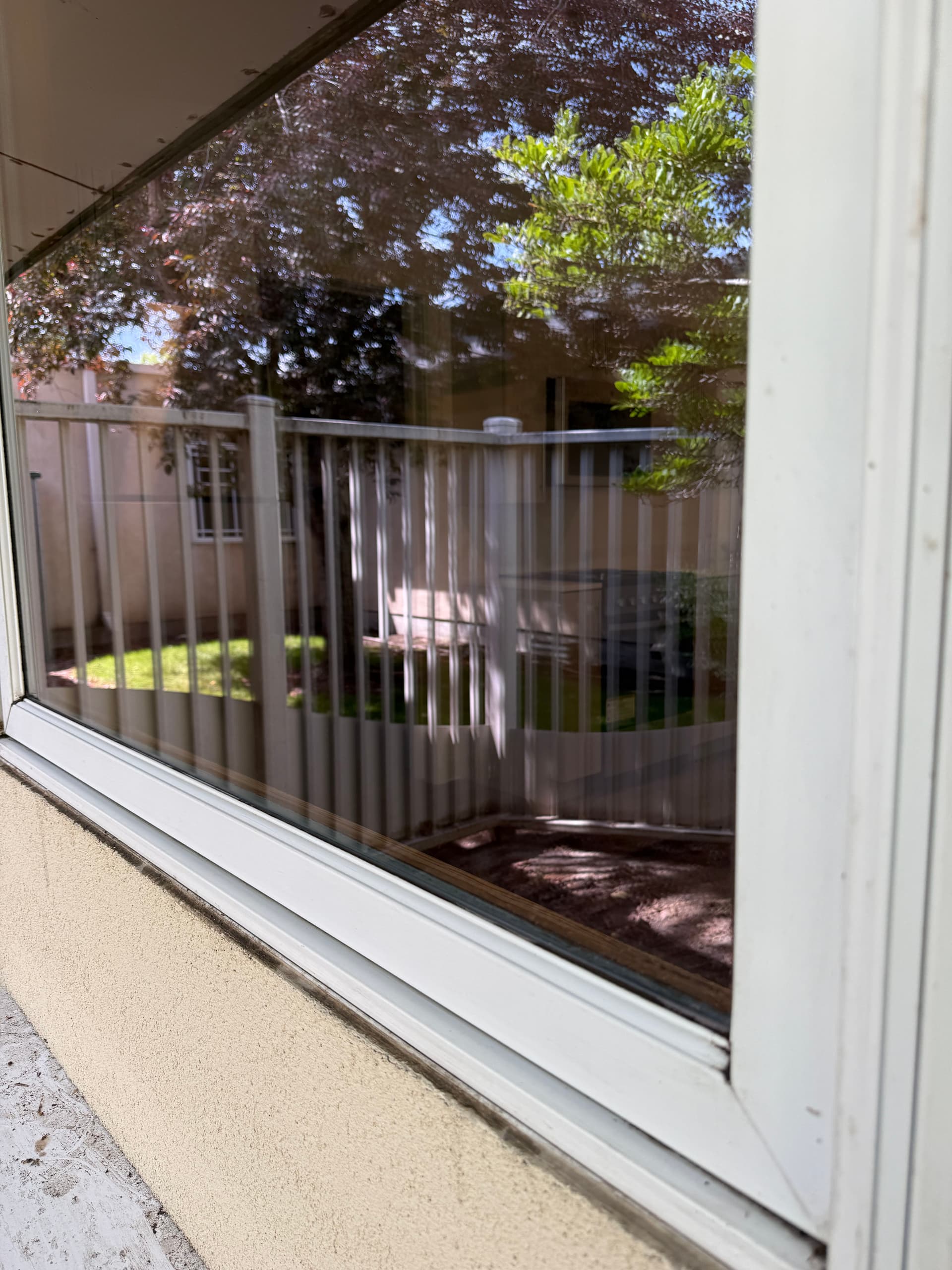 Streak-Free Window Cleaning That Makes a Real Difference