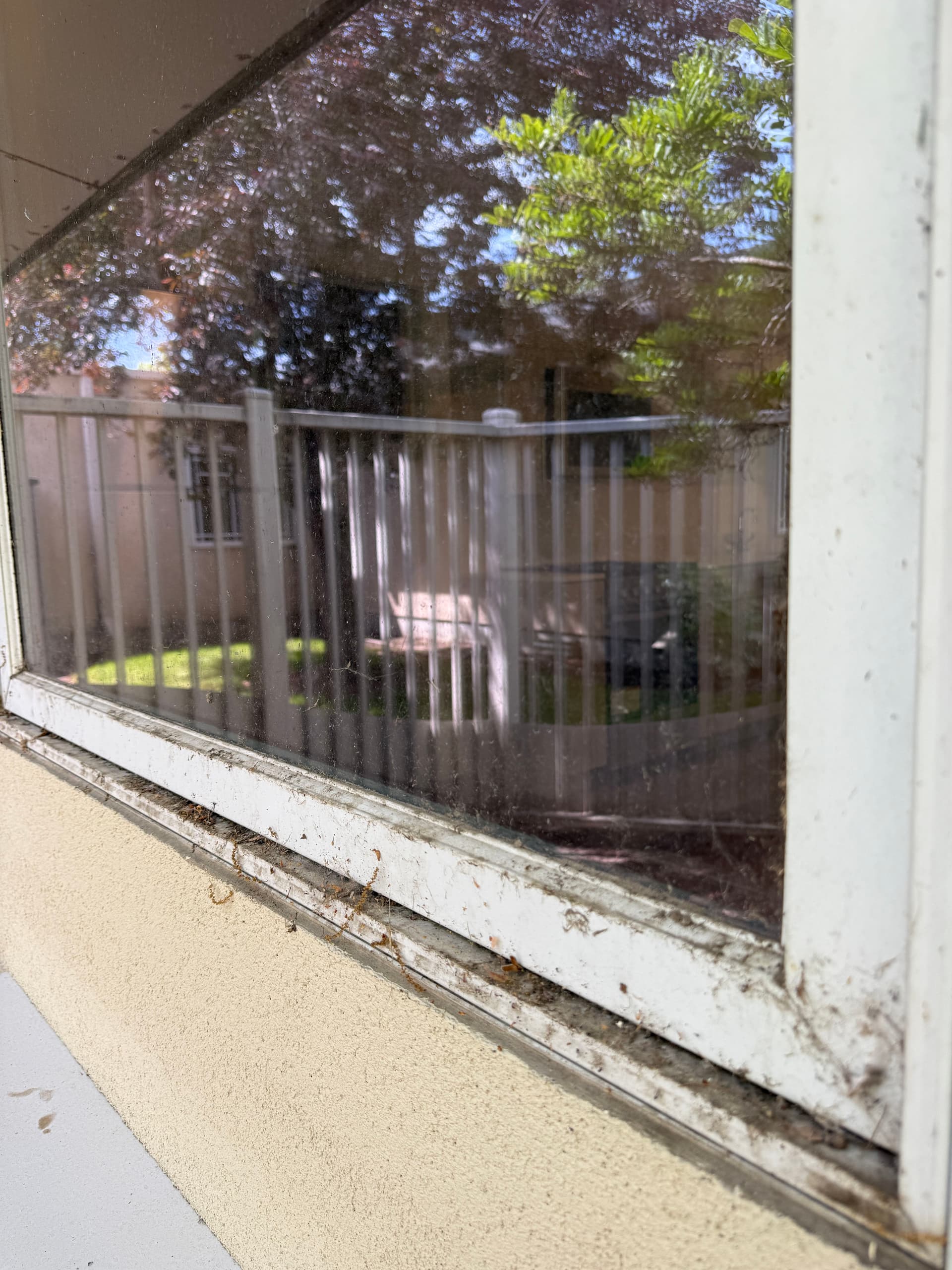 Gallery photos for Streak-Free Window Cleaning That Makes a Real Difference: Image #1