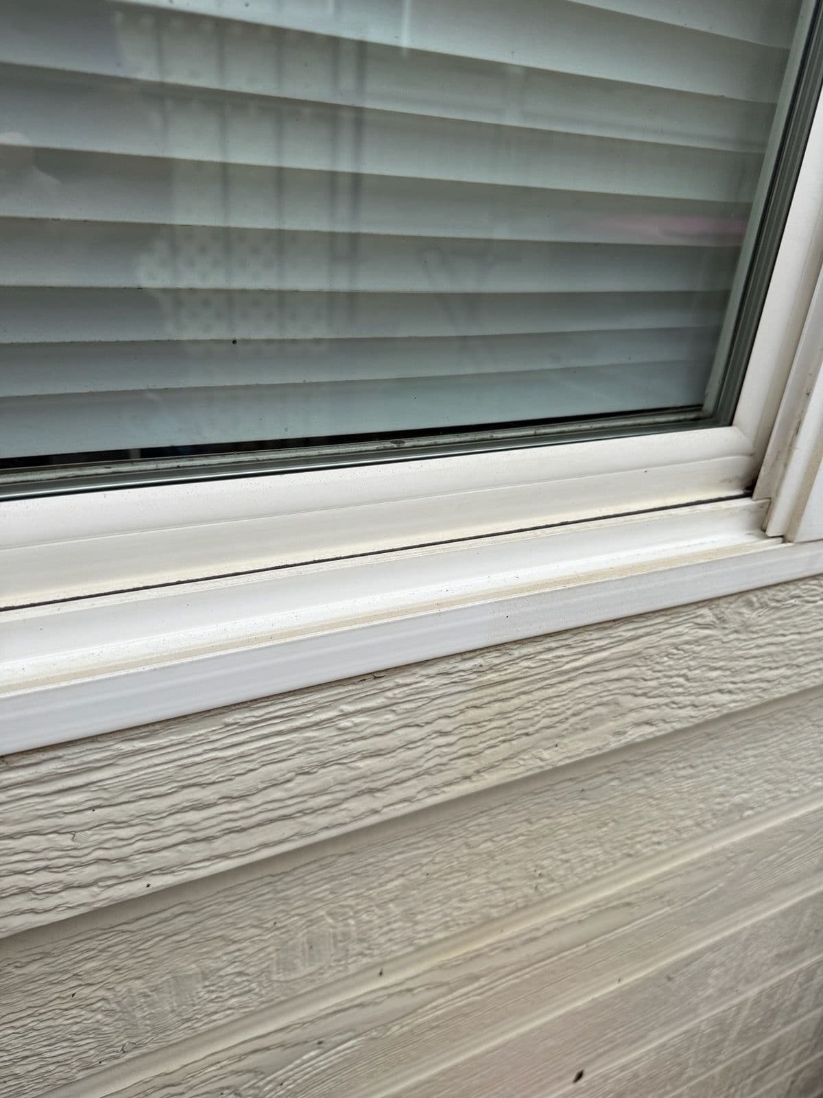 Get Your Windows Holiday-Ready with Stellar Window Wash image