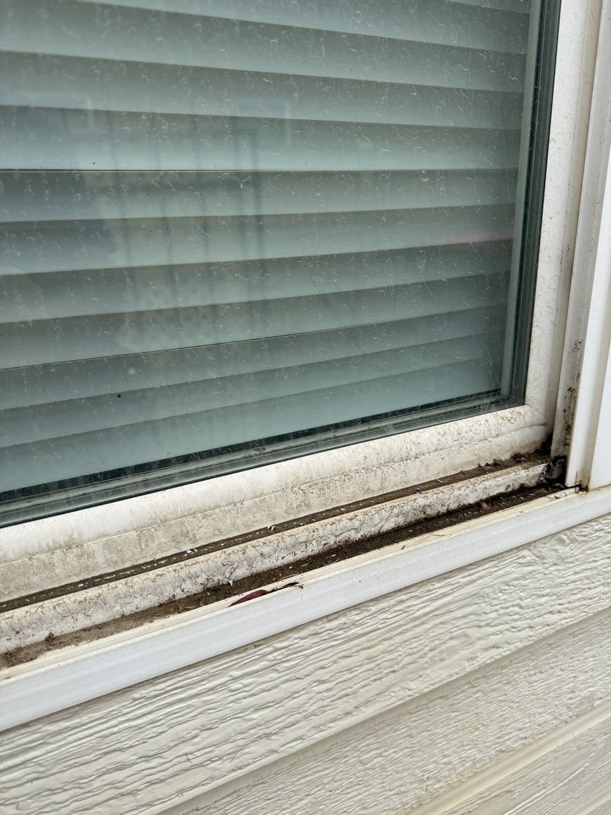 Gallery photos for Get Your Windows Holiday-Ready with Stellar Window Wash: Image #1