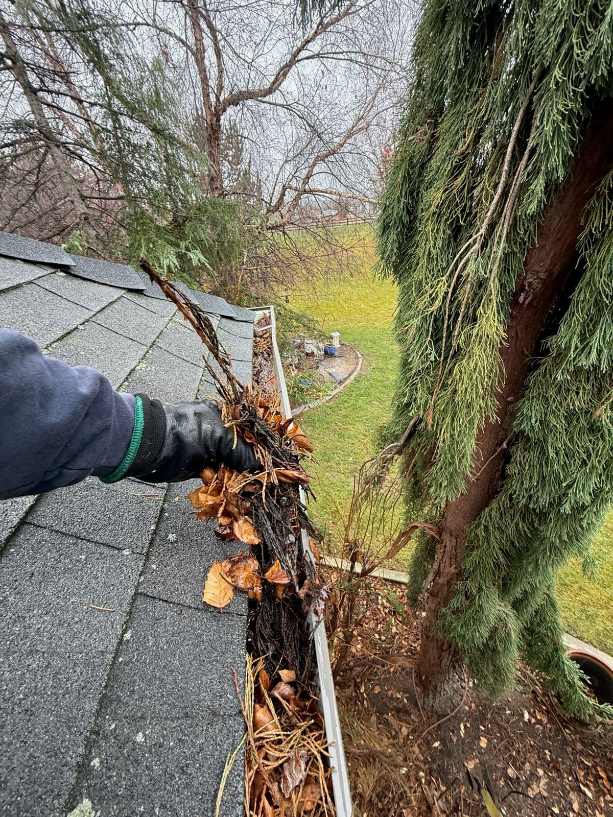 Project Effective Gutter Cleaning in Meridian image