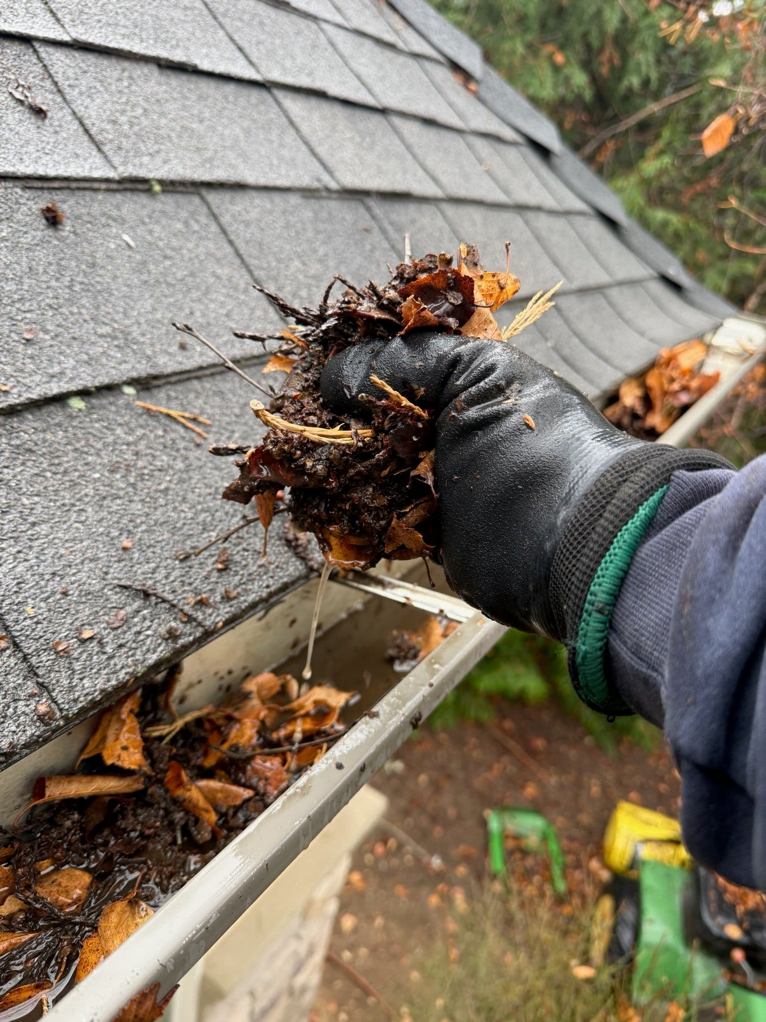 Protect Your Home this Rainy Season with Expert Gutter Cleaning image