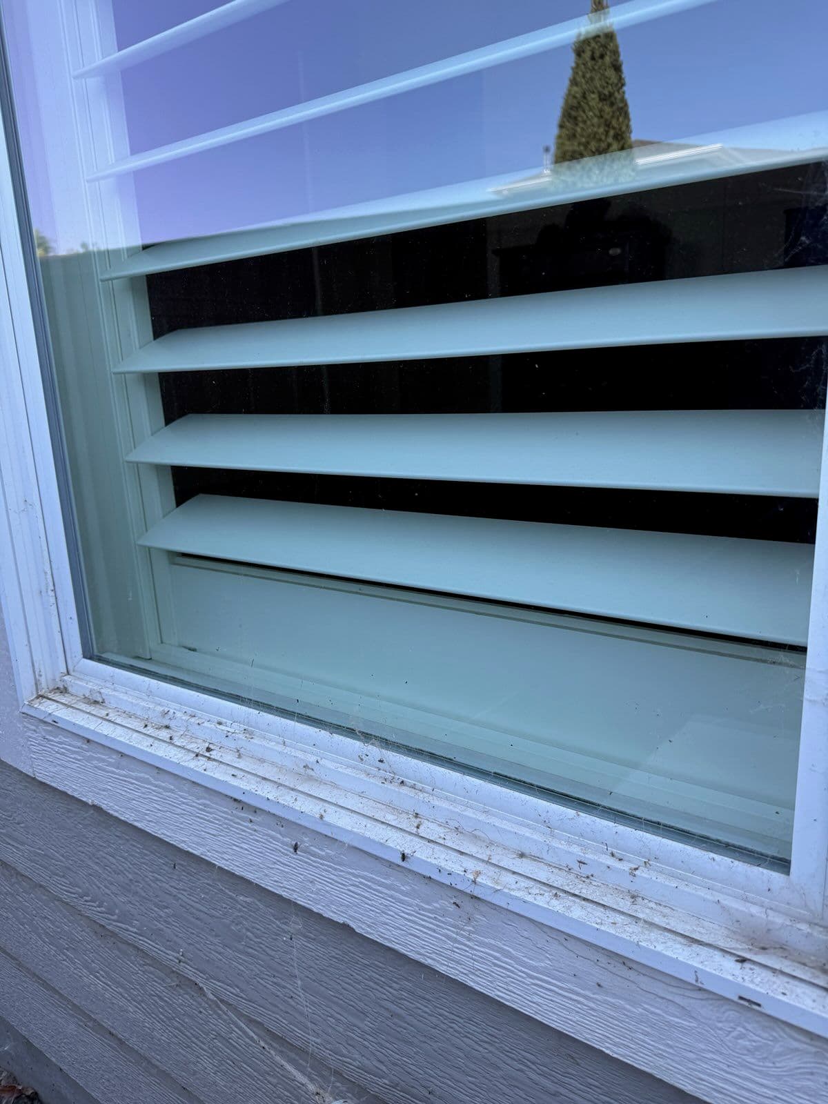 Magically Clean Windows in Meridian image