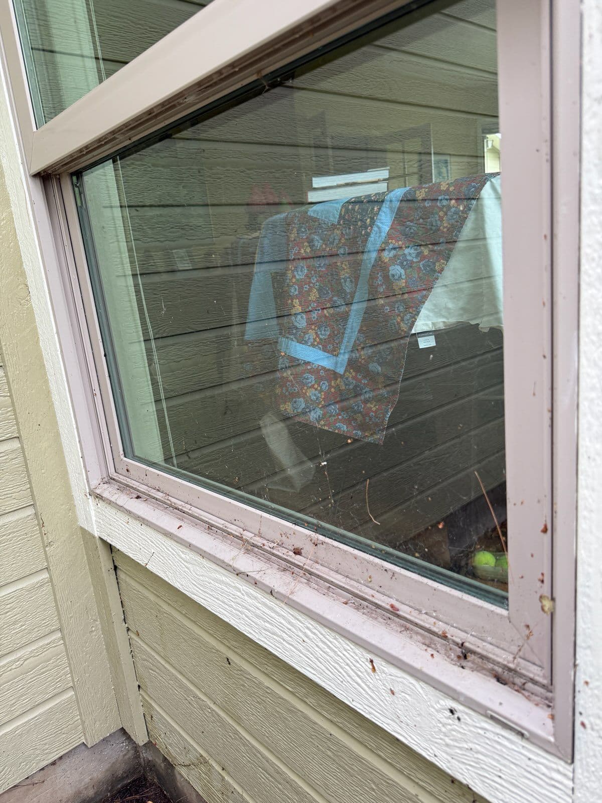 Project Stunning Boise Window Transformation image